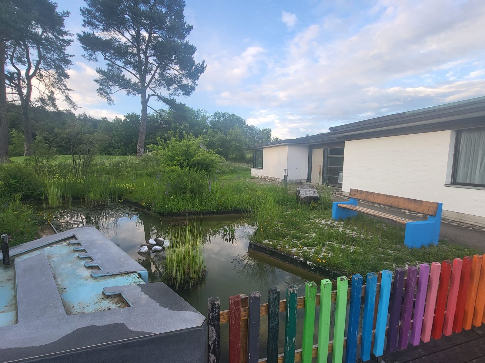 Biotop mit Weiher und farbig bemaltem Holzzaun auf dem Schulareal
