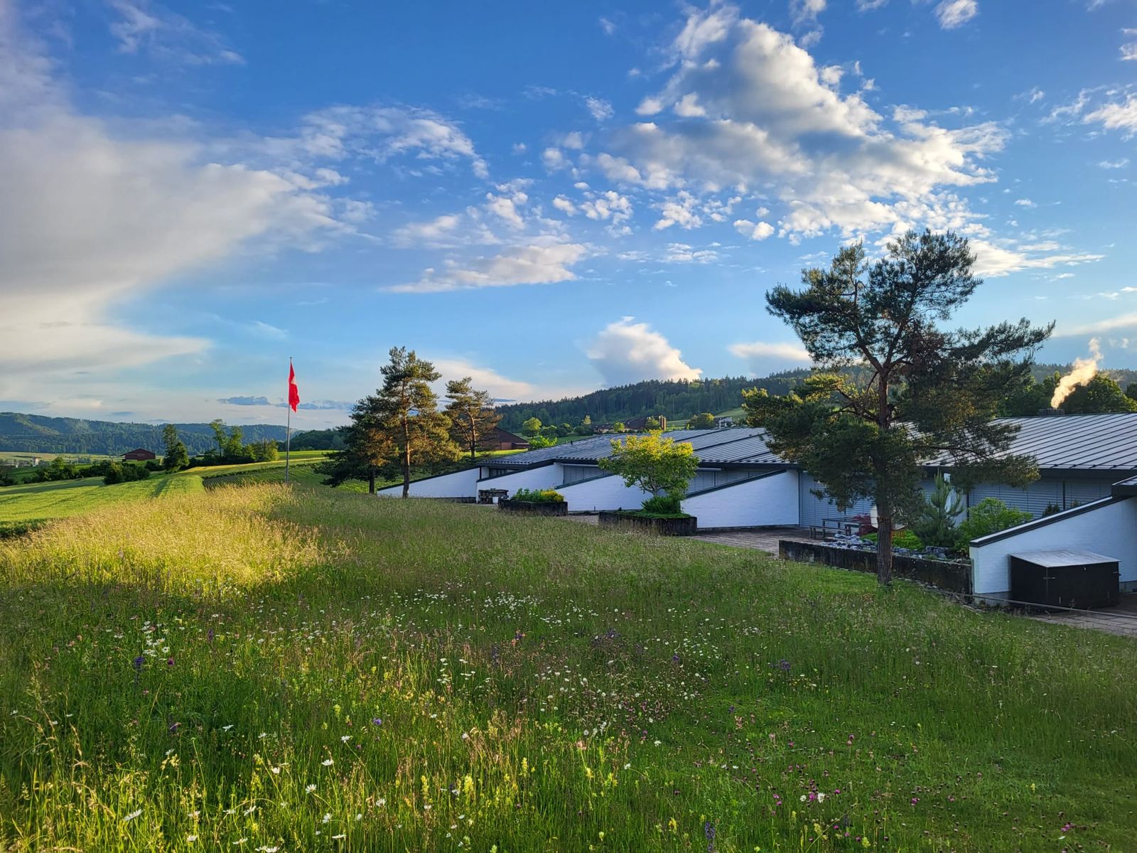 Blumenwiese hinter den Schultrakten